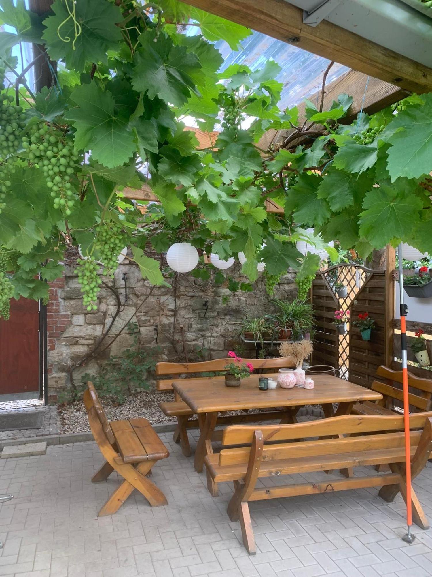 Pension Am Werder Bernburg Dış mekan fotoğraf